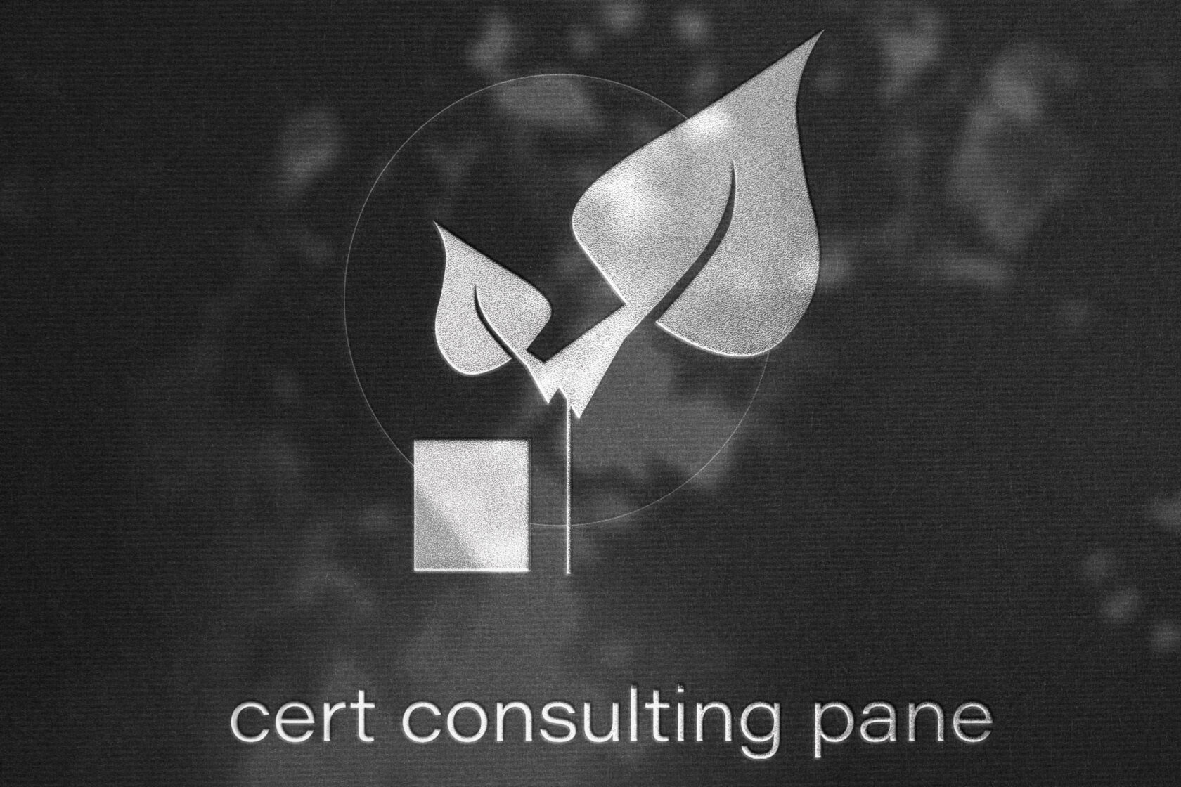 Silver-Foil-Logo-Mockup Kopie